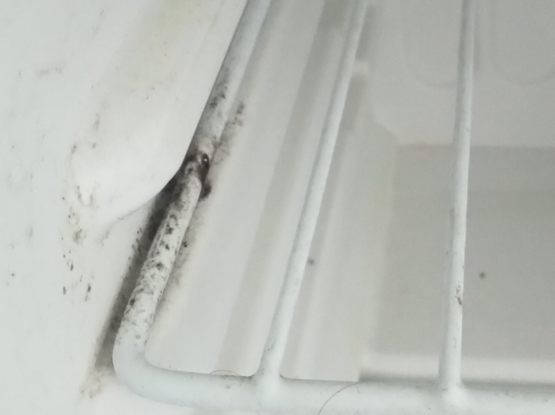 Waterfront Hotel主图