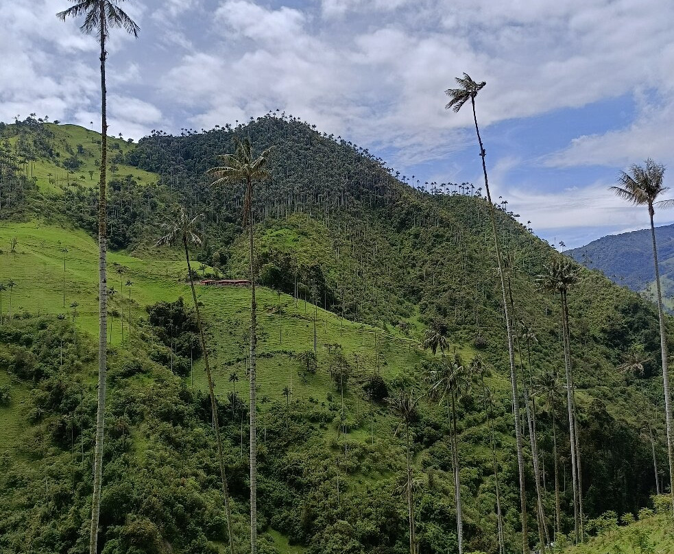 Salento Hikers-萨伦托必去景点