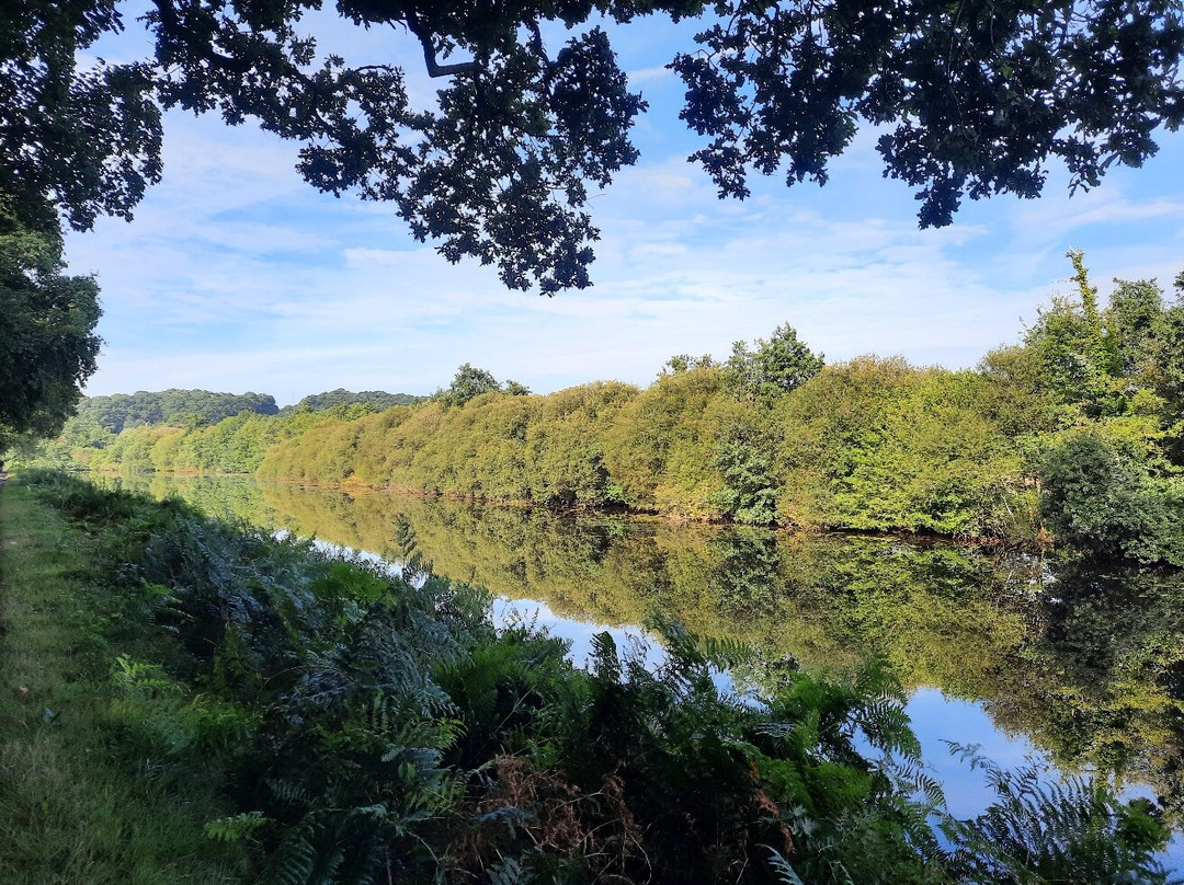 Le Poumon Vert