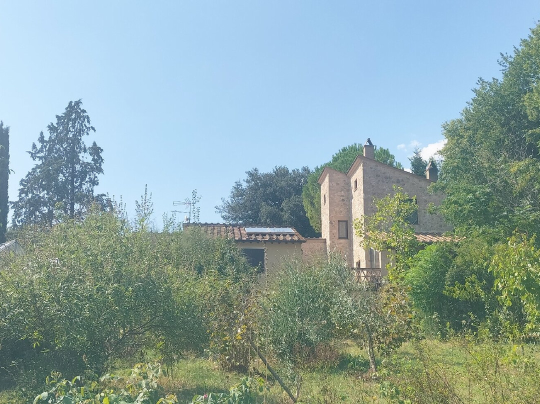 Il Pomario di Montepiglio主图