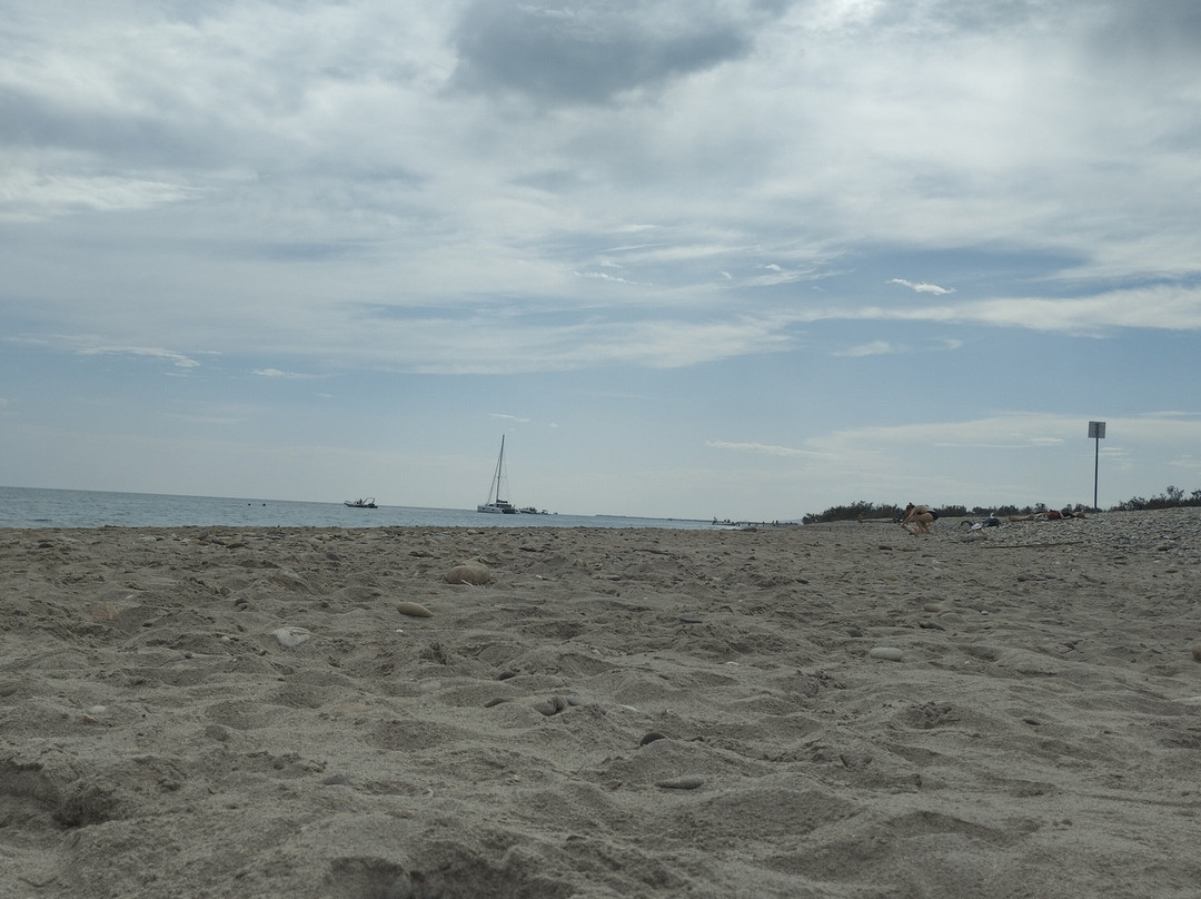 Plage de Maguelone景点图片