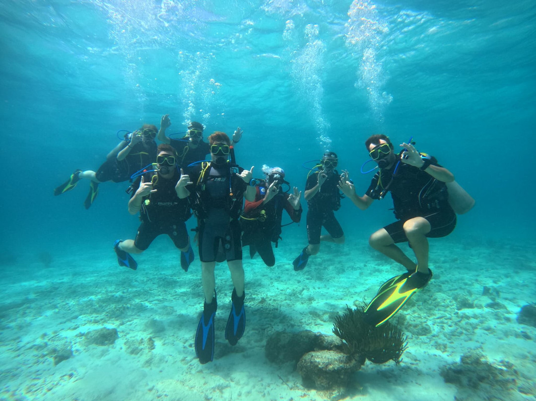 Dushi Diving-威廉斯塔德必去景点