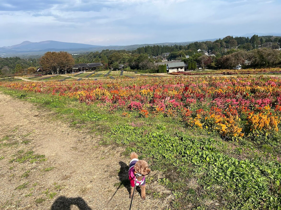 Nasu Flower World-那须町必去景点