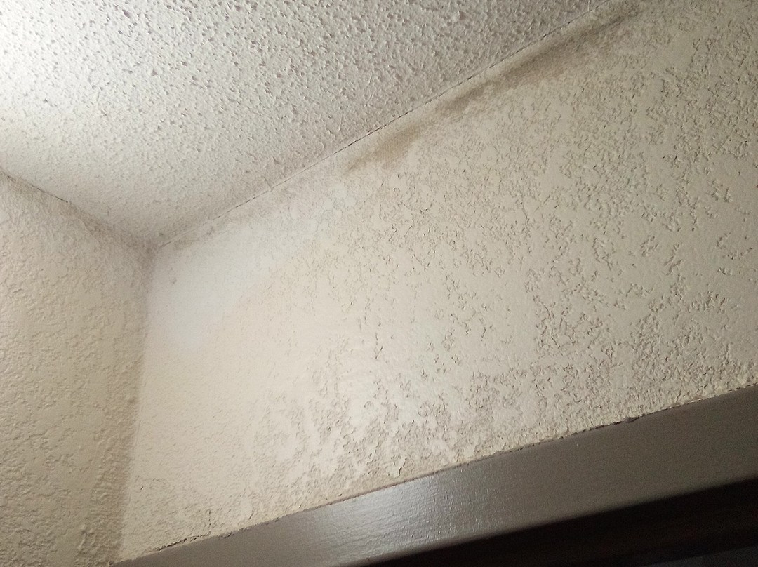 Days Inn by Wyndham Seneca / Clemson Area主图