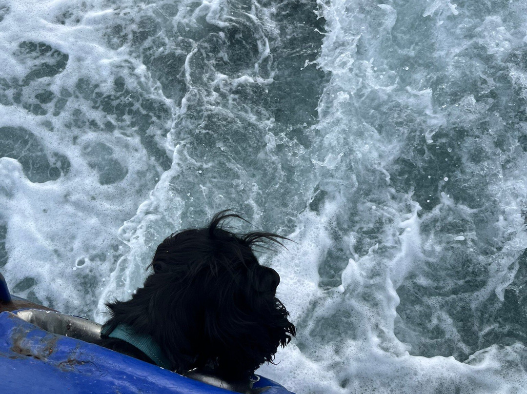 Tory Island Harbour View Hotel主图