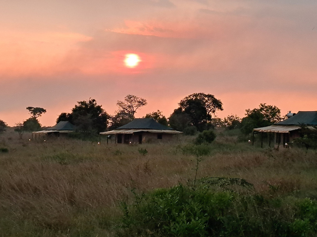 Kipori Safari-莫西必去景点
