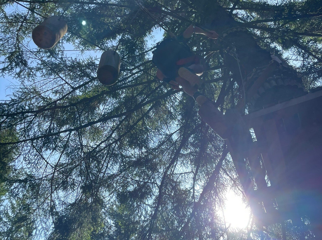 Forest Park景点图片