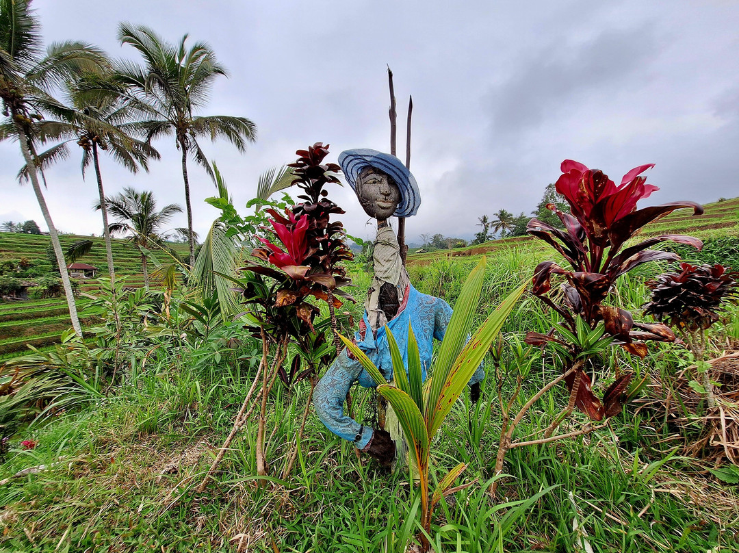 Jatiluwih-Jatiluwih必去景点