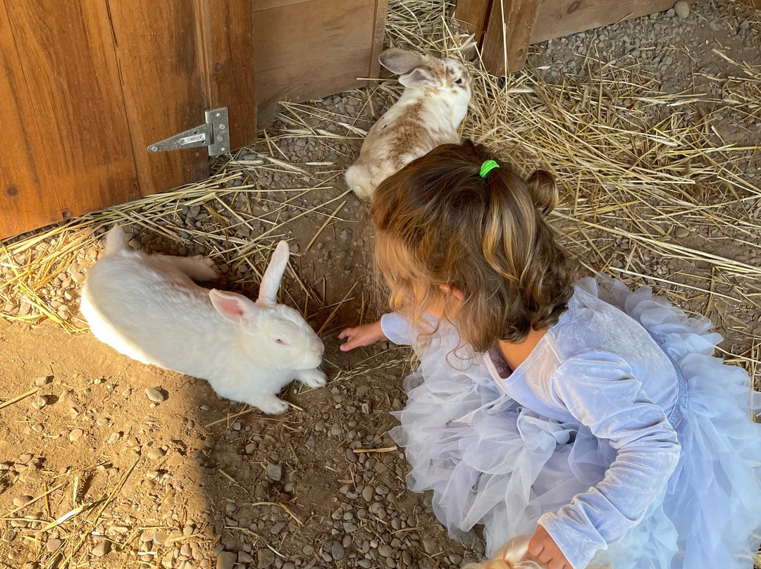 Woodstock Farm Sanctuary景点图片