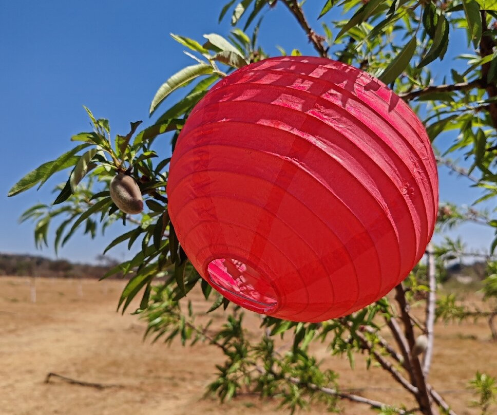 The Field Berry Farm-Walkerville必去景点