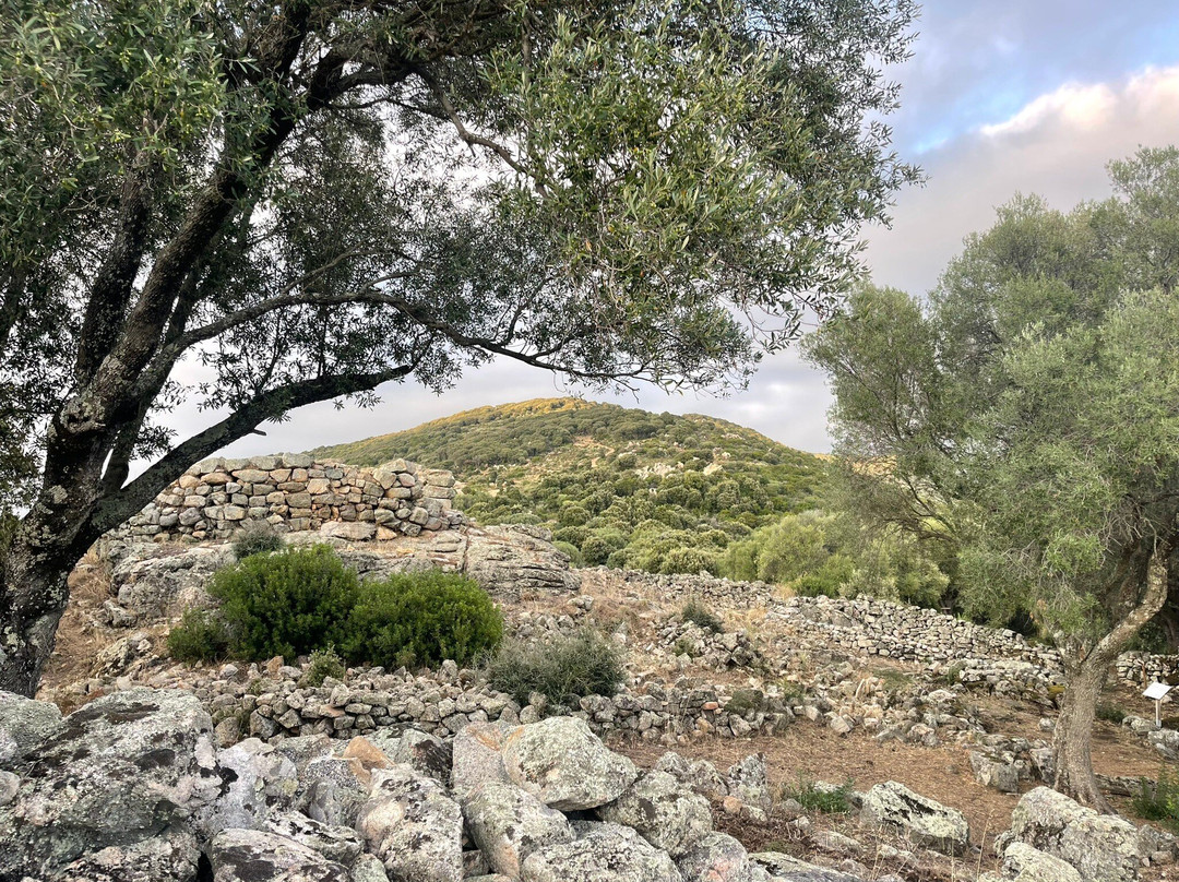Site Préhistorique D'alò Bisujè景点图片