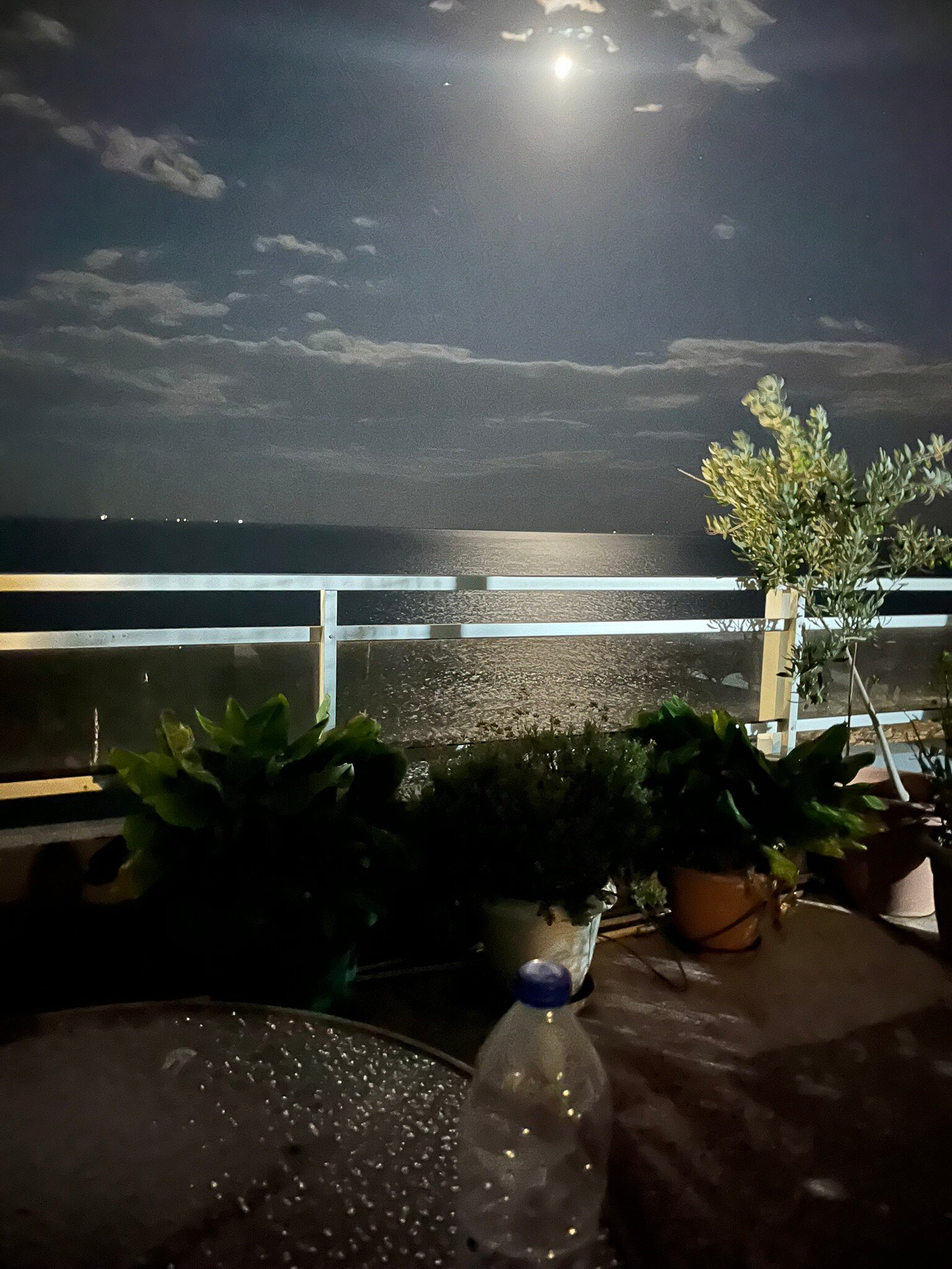 Scorpios Hotel-官方