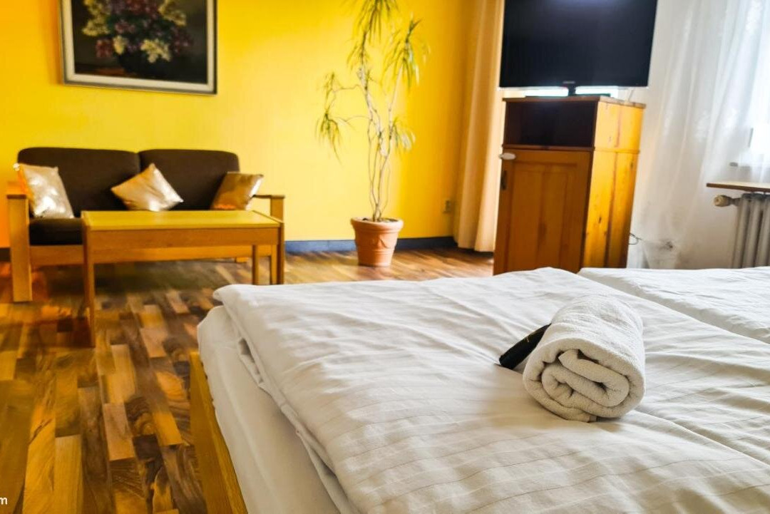 City Hotel Pforzheim主图