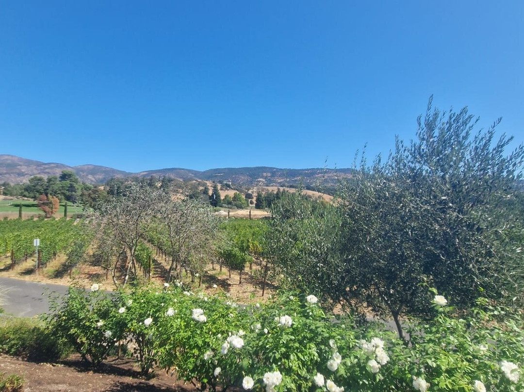 Shadybrook Estate Winery-纳帕必去景点