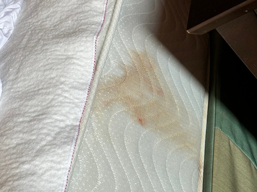 La Quinta Inn & Suites by Wyndham Plattsburgh主图