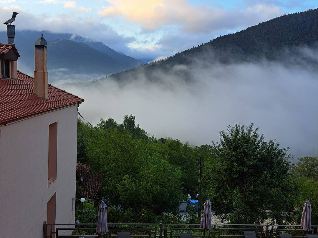 Villa Virginia Guesthouse主图