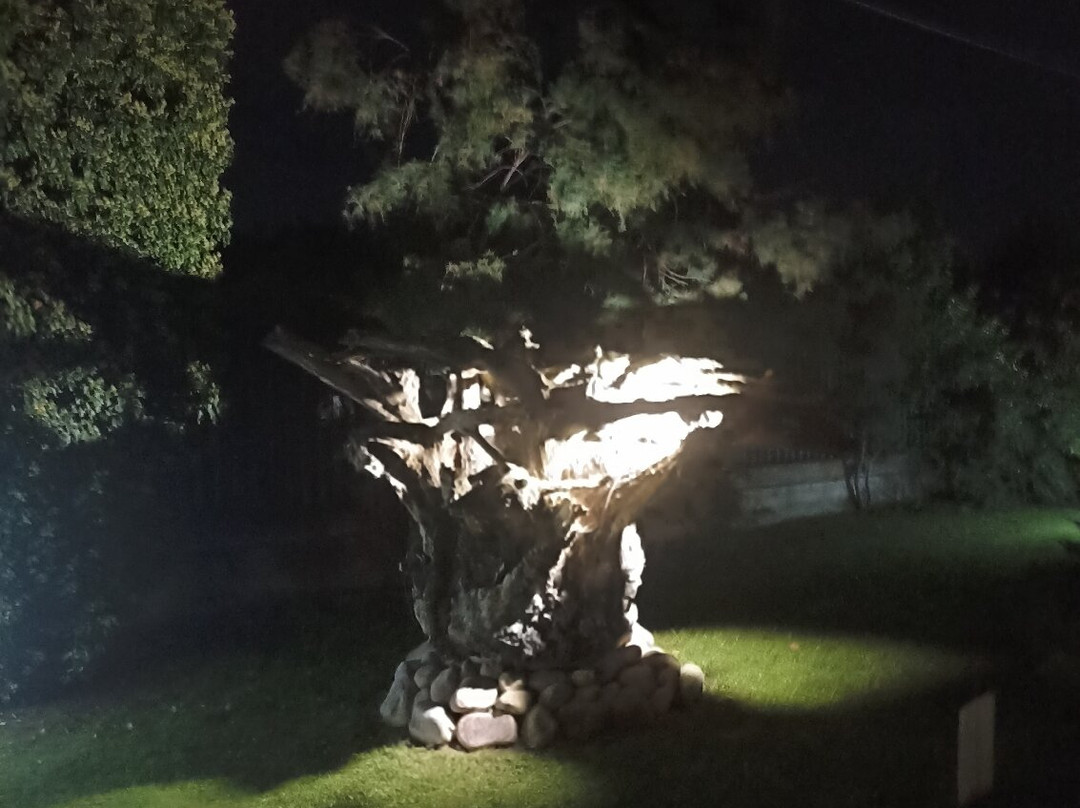 Country House La Radice主图