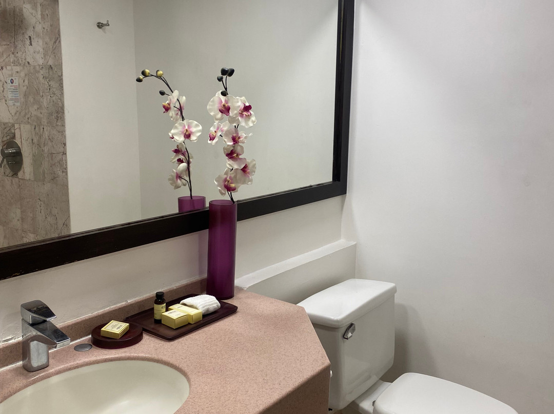 Fiesta Americana Hermosillo主图