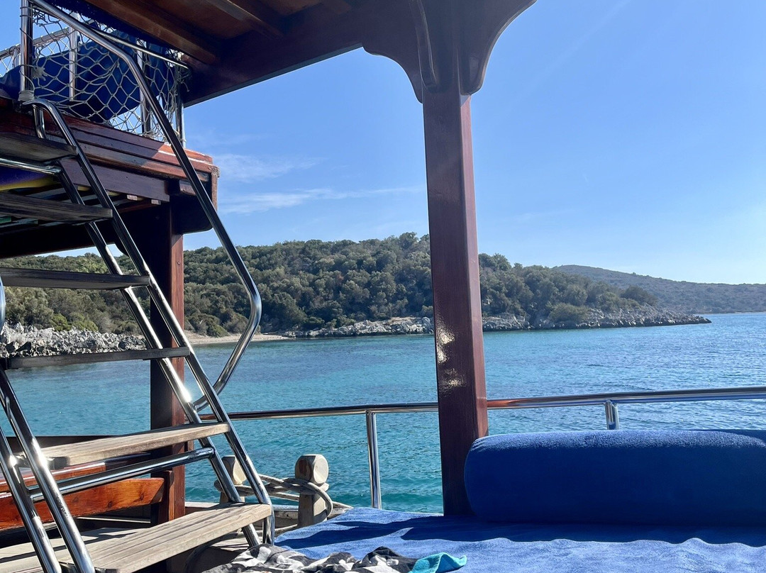 Ozzlife Boat景点图片