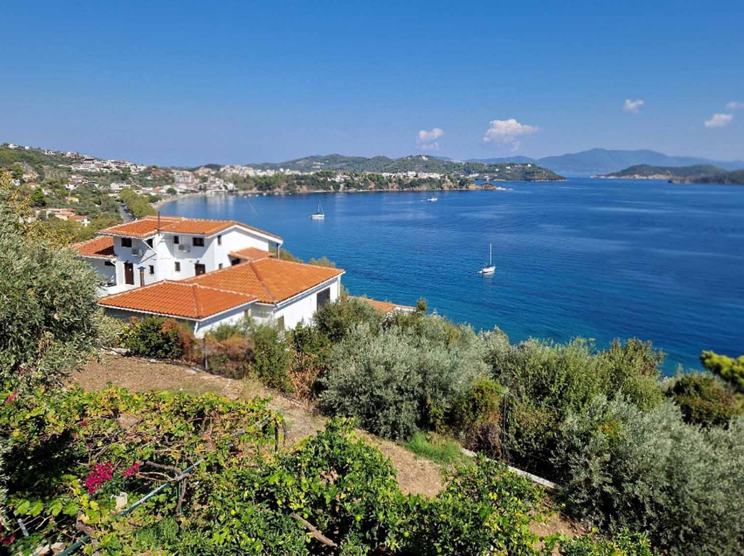 美丽雅别墅酒店主图