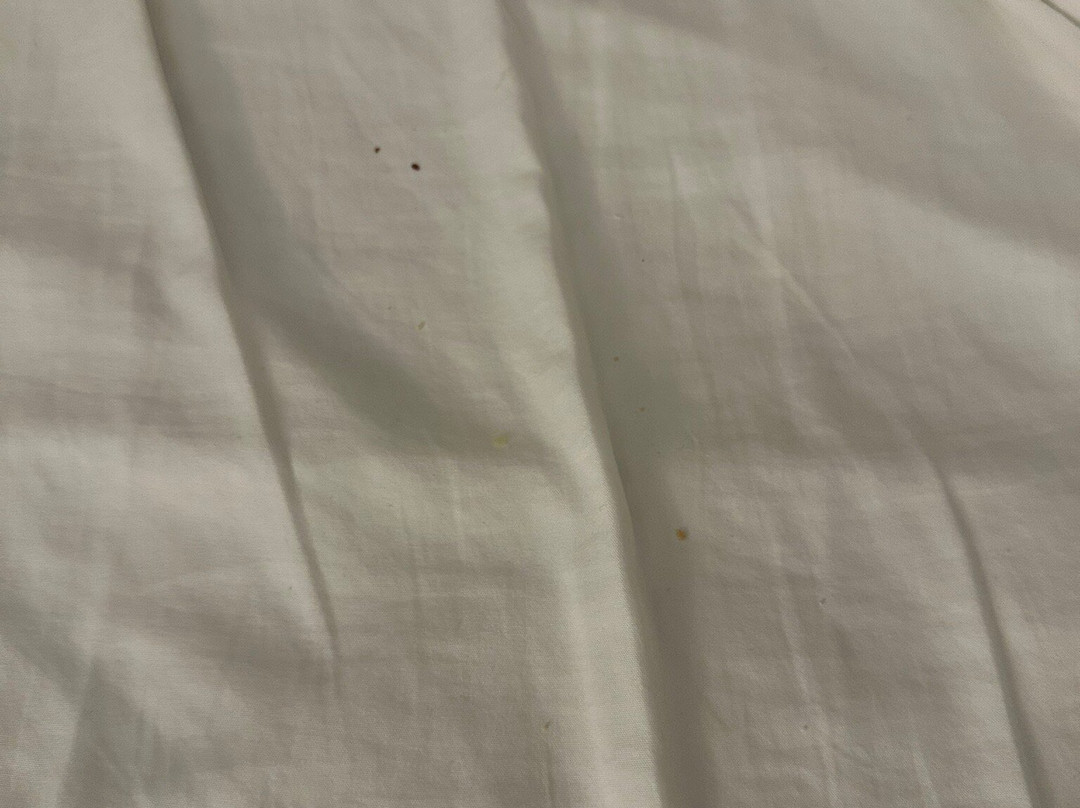 协和殖民酒店主图