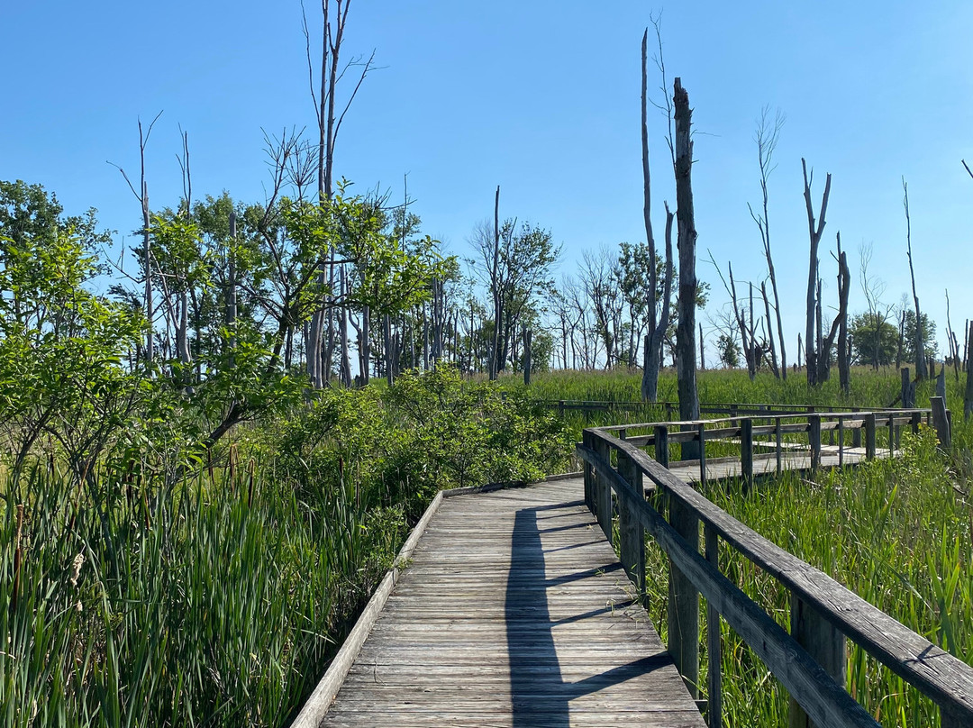 Maumee Bay State Park-Oregon必去景点