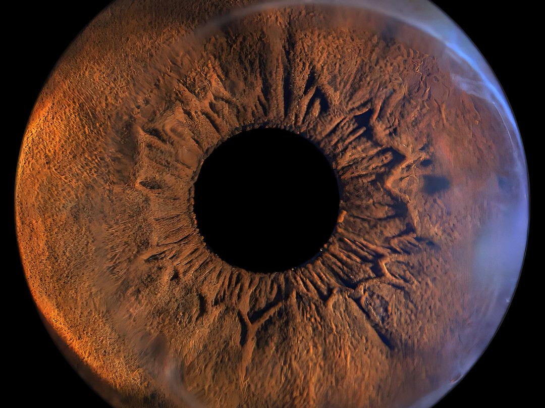 Amazojo Iris Photo Studio-彭萨科拉必去景点