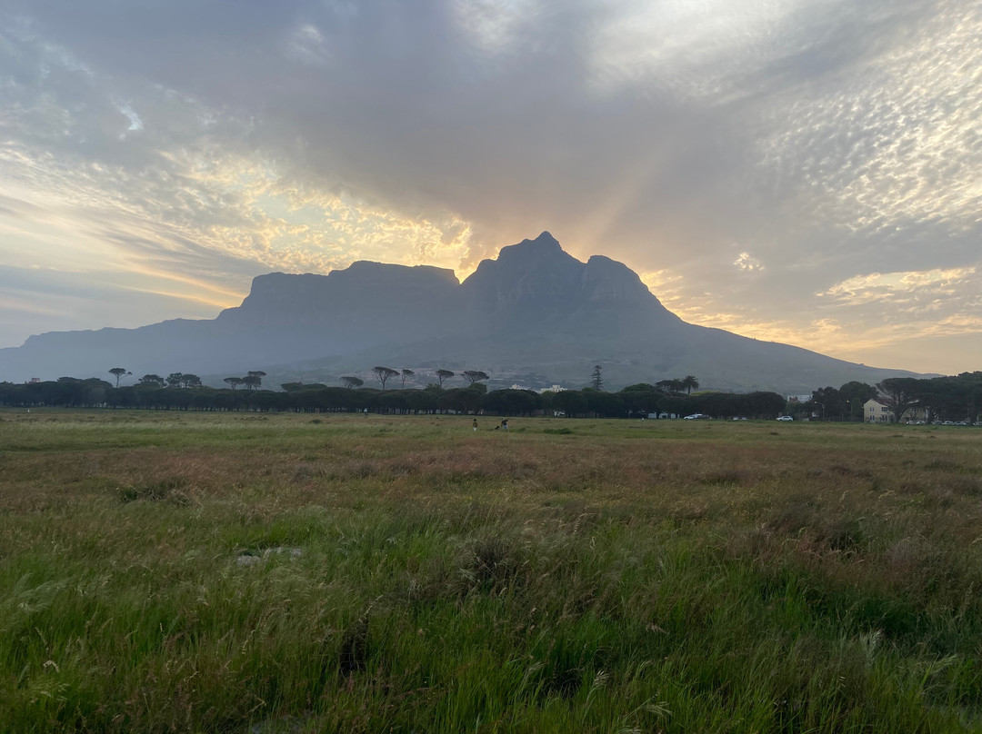 Rondeboschuhh Common