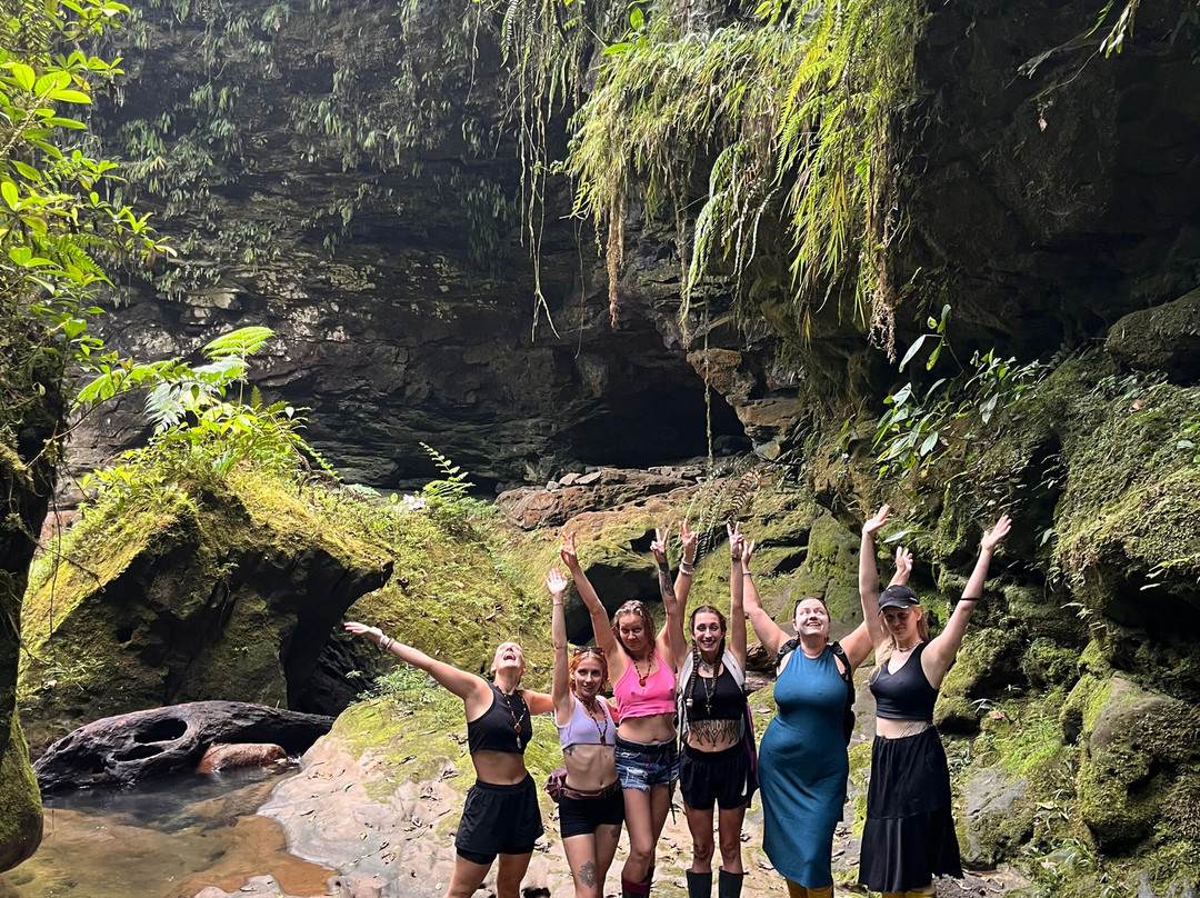 Amayas Ayahuasca Ecuador-Cotundo必去景点