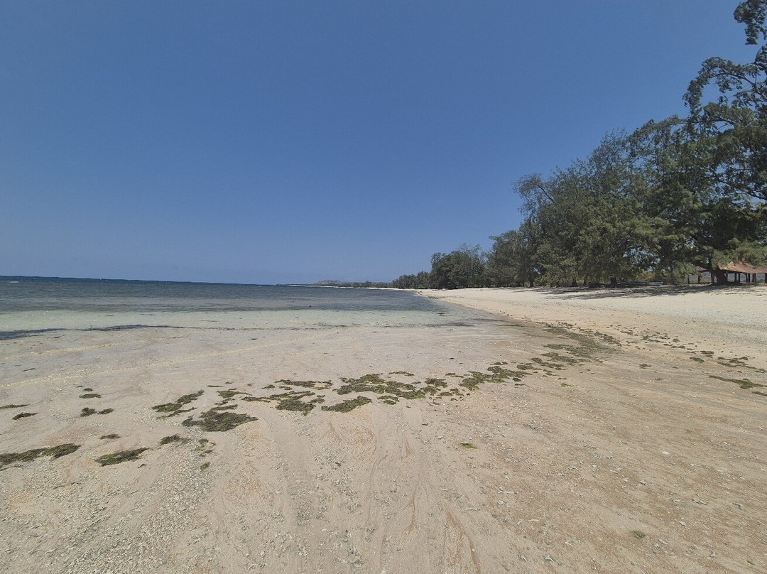 Pondok Wisata Pantai Cemara主图