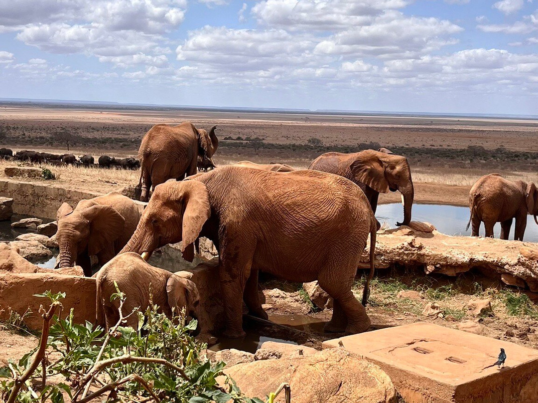 Muka Tours and Safaris-马林地必去景点