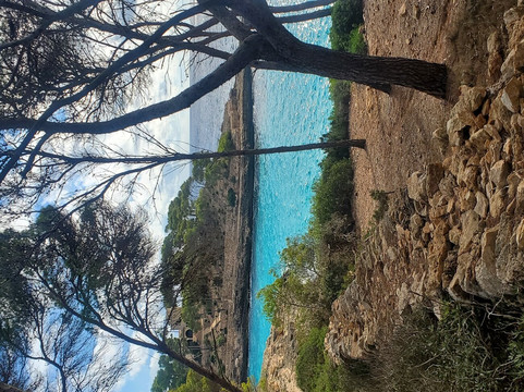 普拉亚蒙卓葛酒店(Playa Mondrago Hotel Apartments)主图