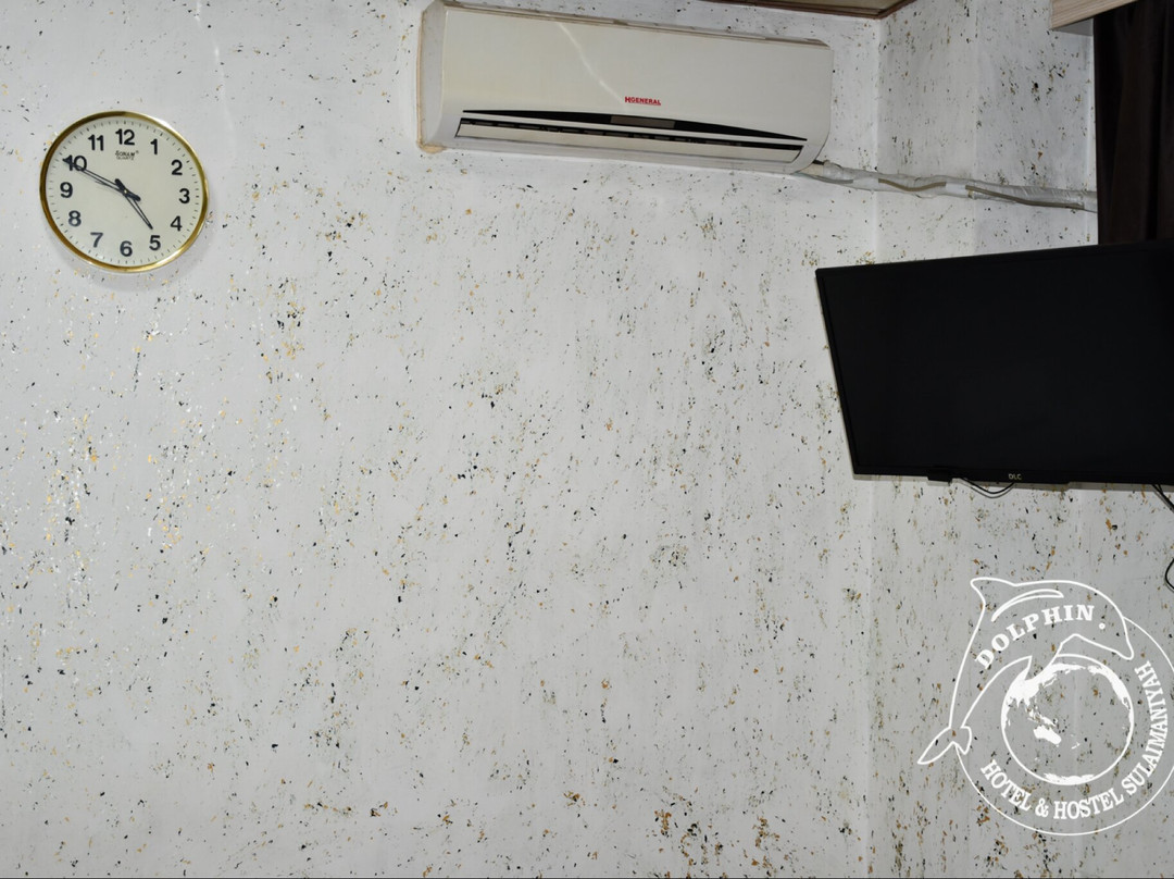 Dolphin Hotel & Hostel主图