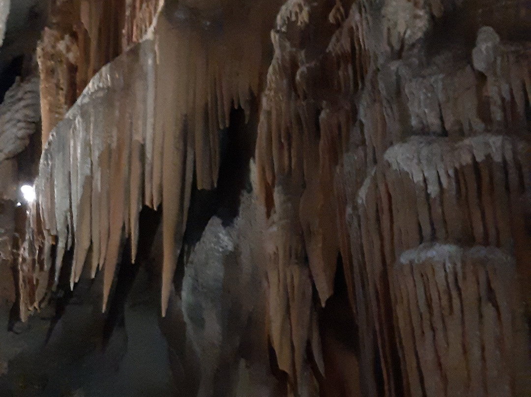 Gosu Cave-丹阳郡必去景点