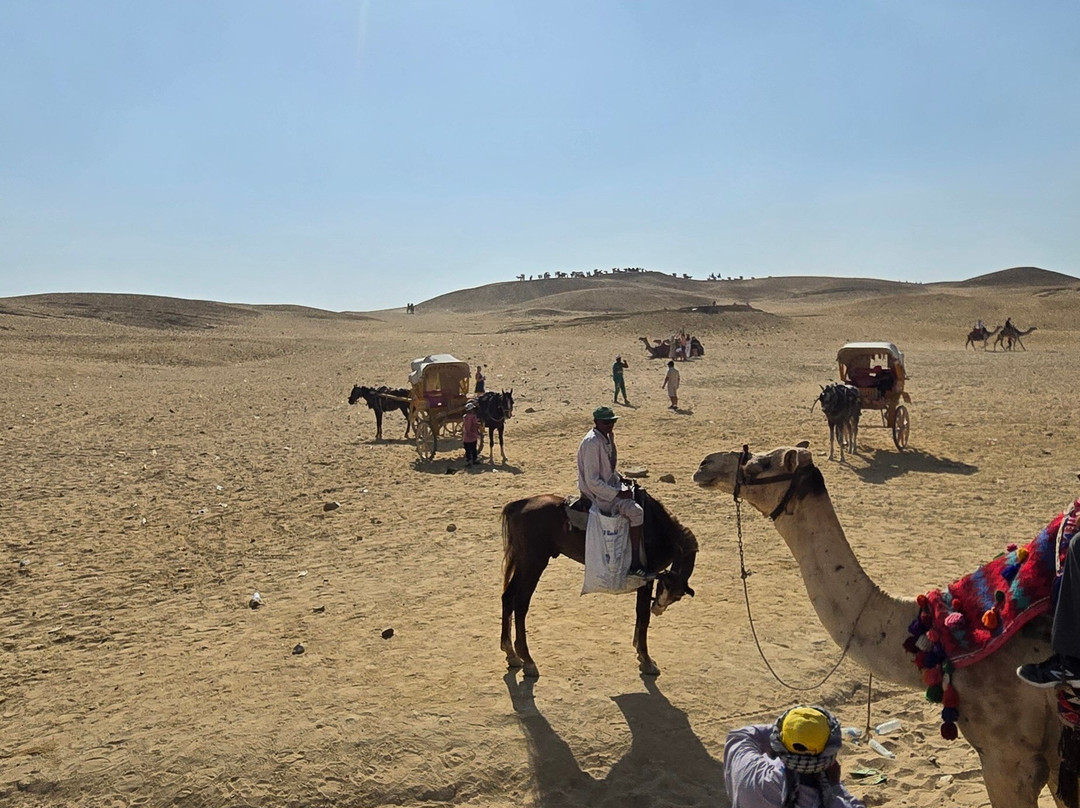 Go Discover Egypt (Voyages Cleopatra)景点图片