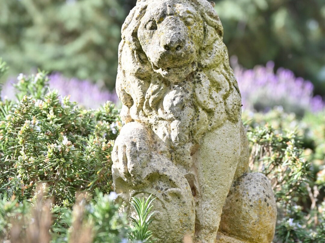 Anlaby Station-Kapunda必去景点