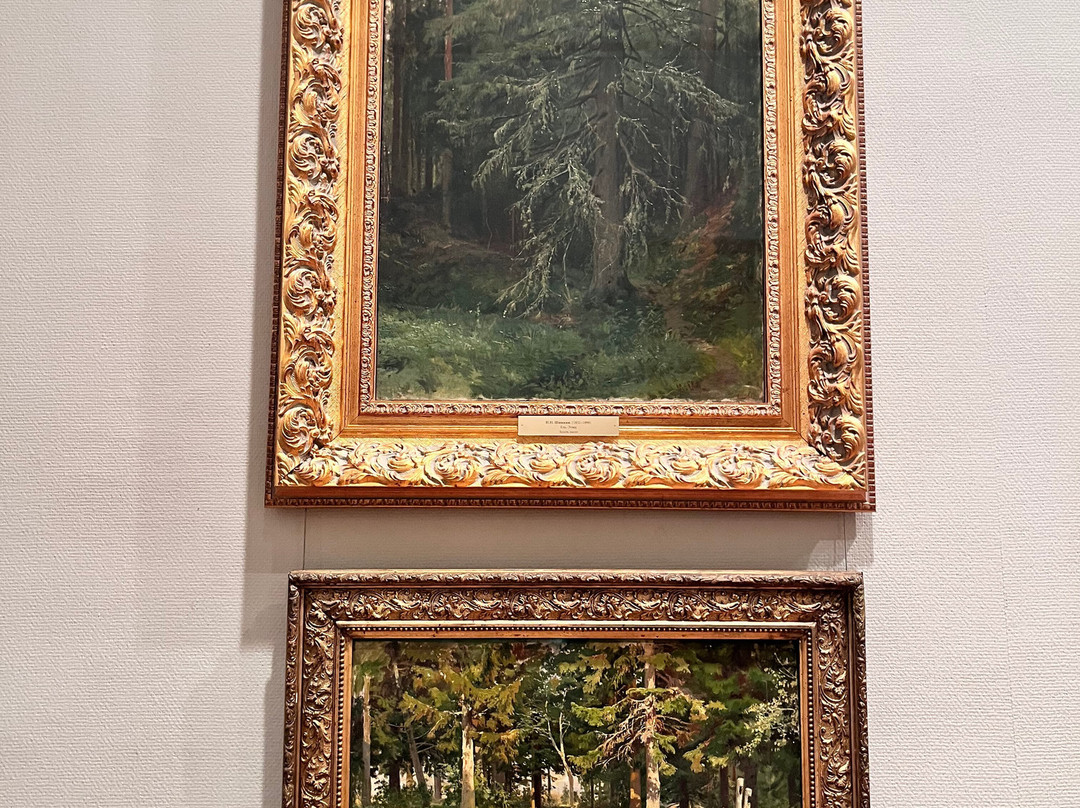 Samara Regional Art Museum-萨马拉必去景点