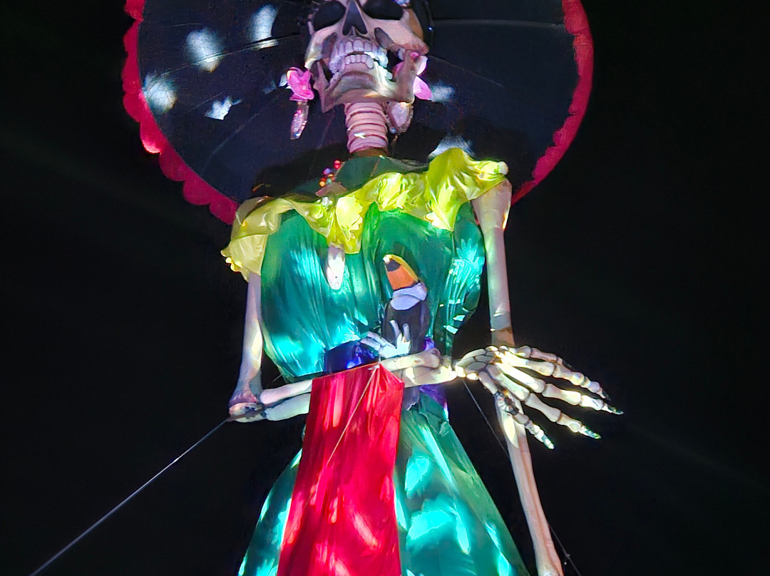 Puerto Vallarta Walking Adventures & Tours-瓦拉塔港必去景点