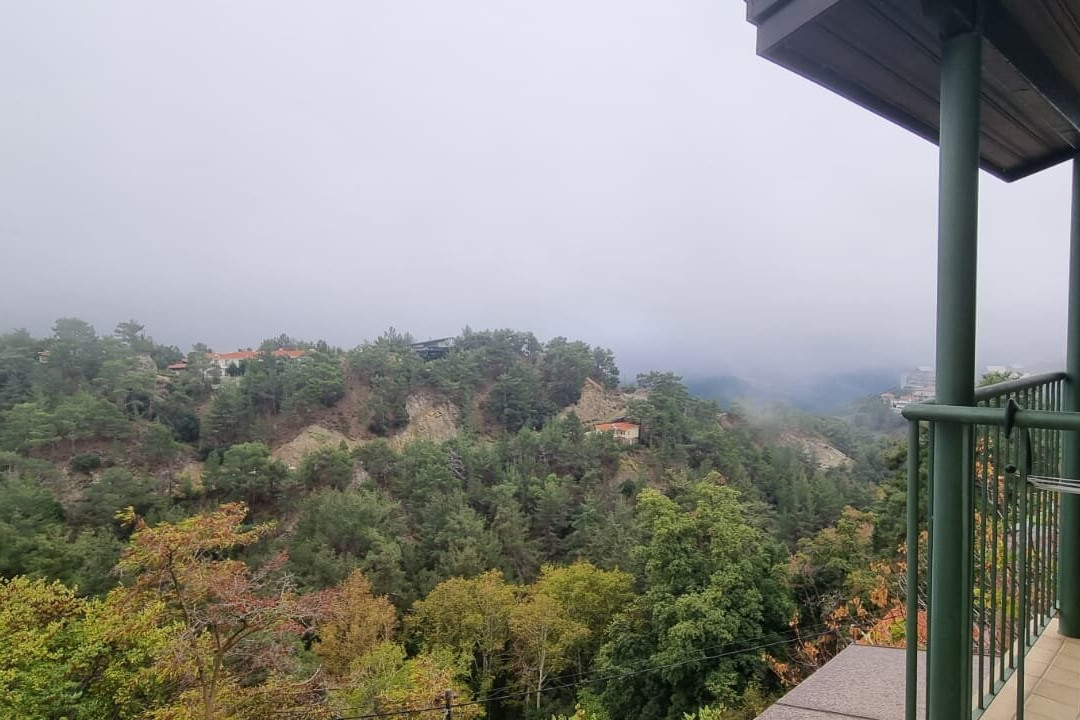 Petit Palais Platres Boutique Hotel主图