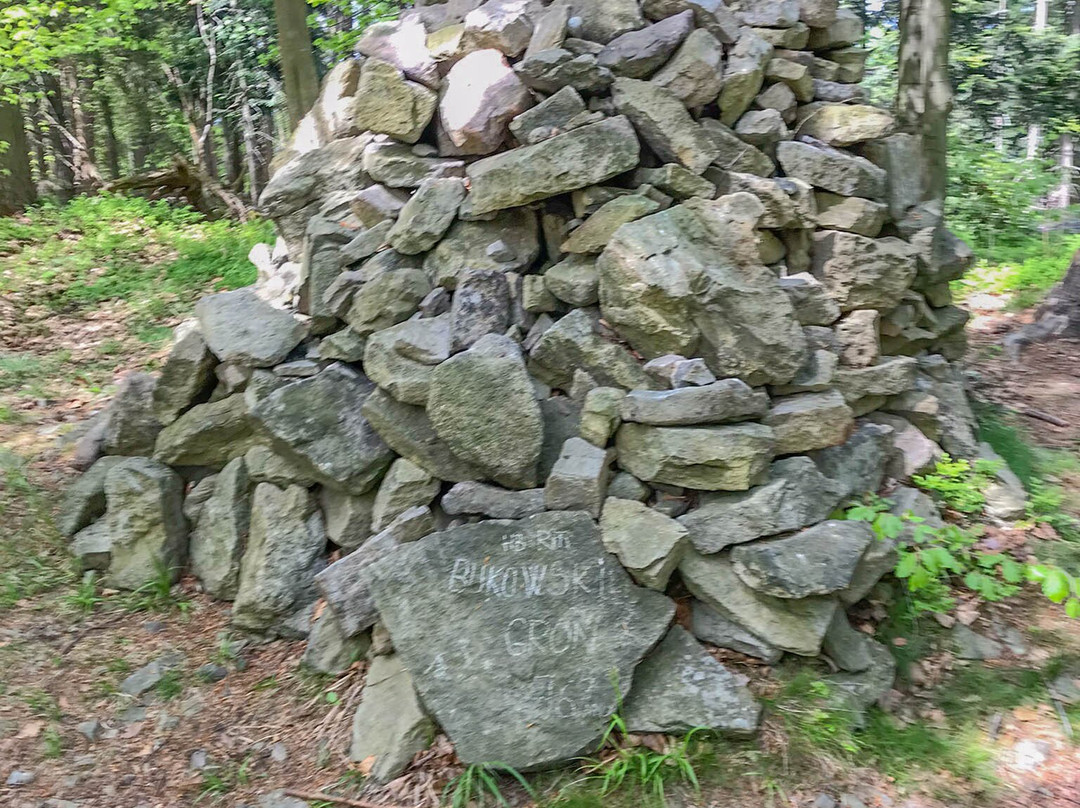 Punkt Widokowy Bukowski Groń-Porabka必去景点