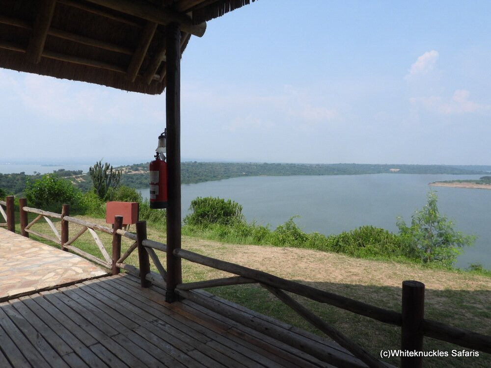 Mweya Safari Lodge主图