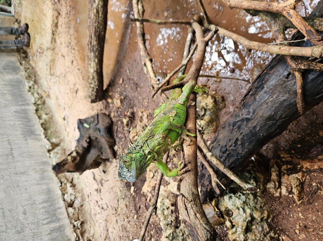 Toolok kaa'n-从莫雷洛斯港必去景点