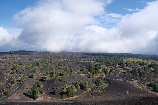 Sicily Adventure-陶尔米纳必去景点