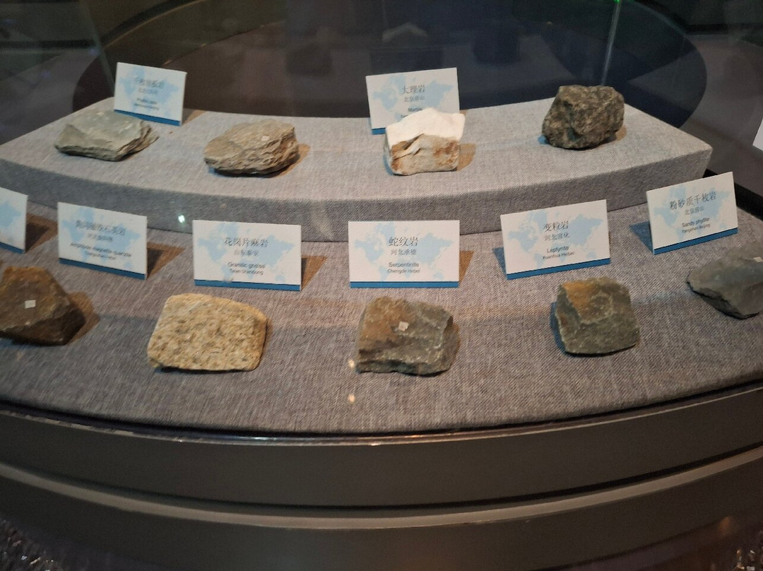 Yantai Museum-烟台市必去景点