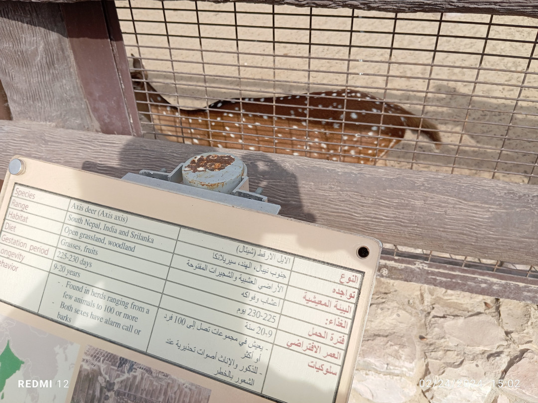 Al Khor Park-Al Khor必去景点