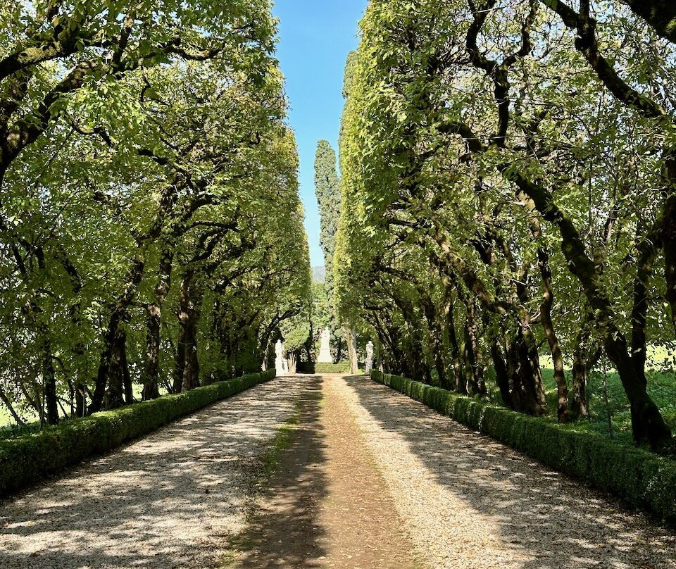 Il Giardino Di Pojega景点图片