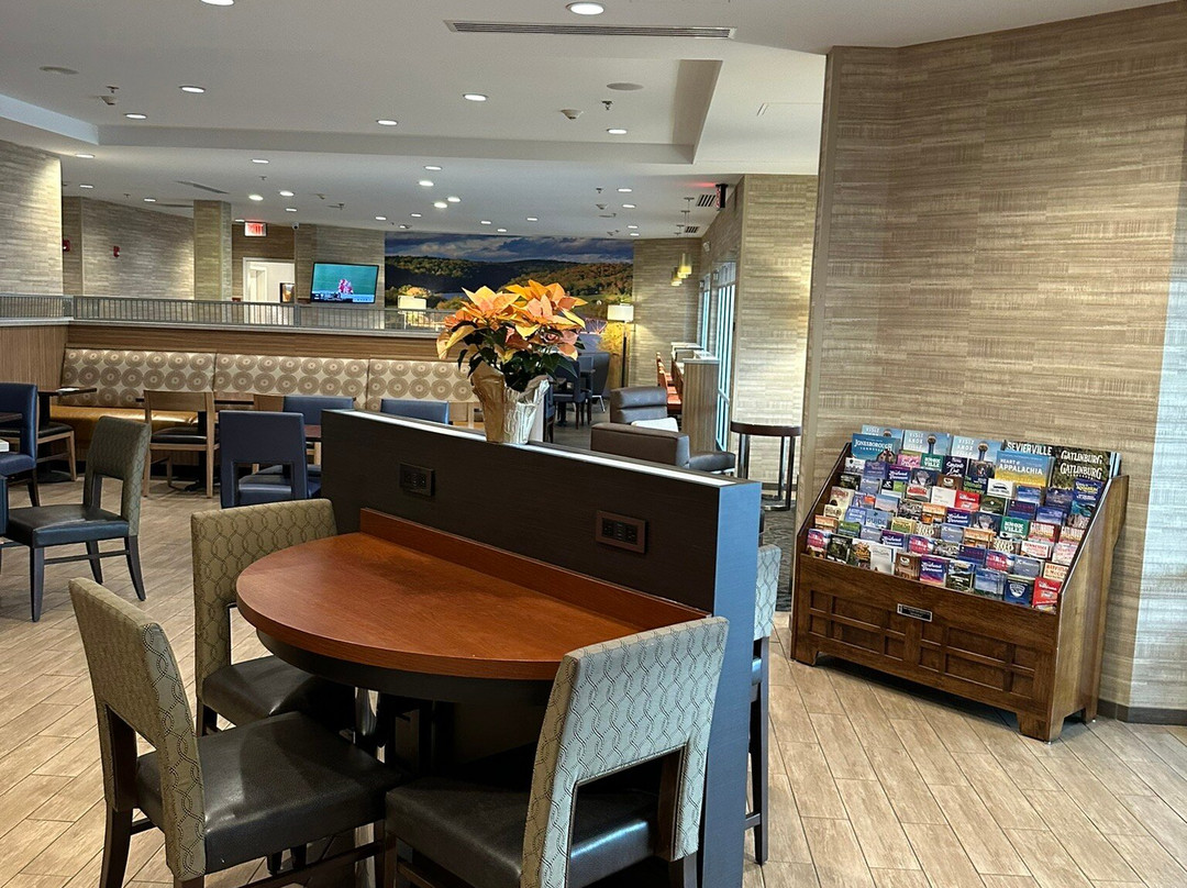 TownePlace Suites by Marriott Knoxville Oak Ridge主图