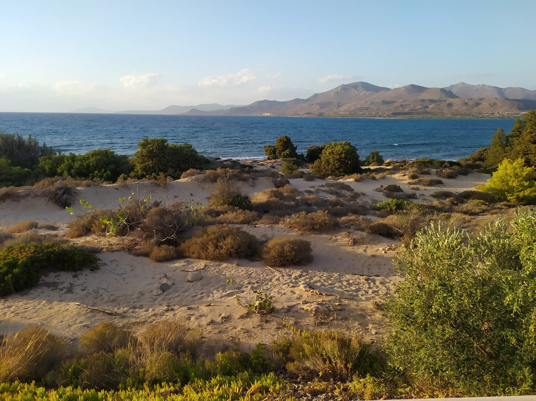 Eight Dimensions Capari Suites Elafonisos主图