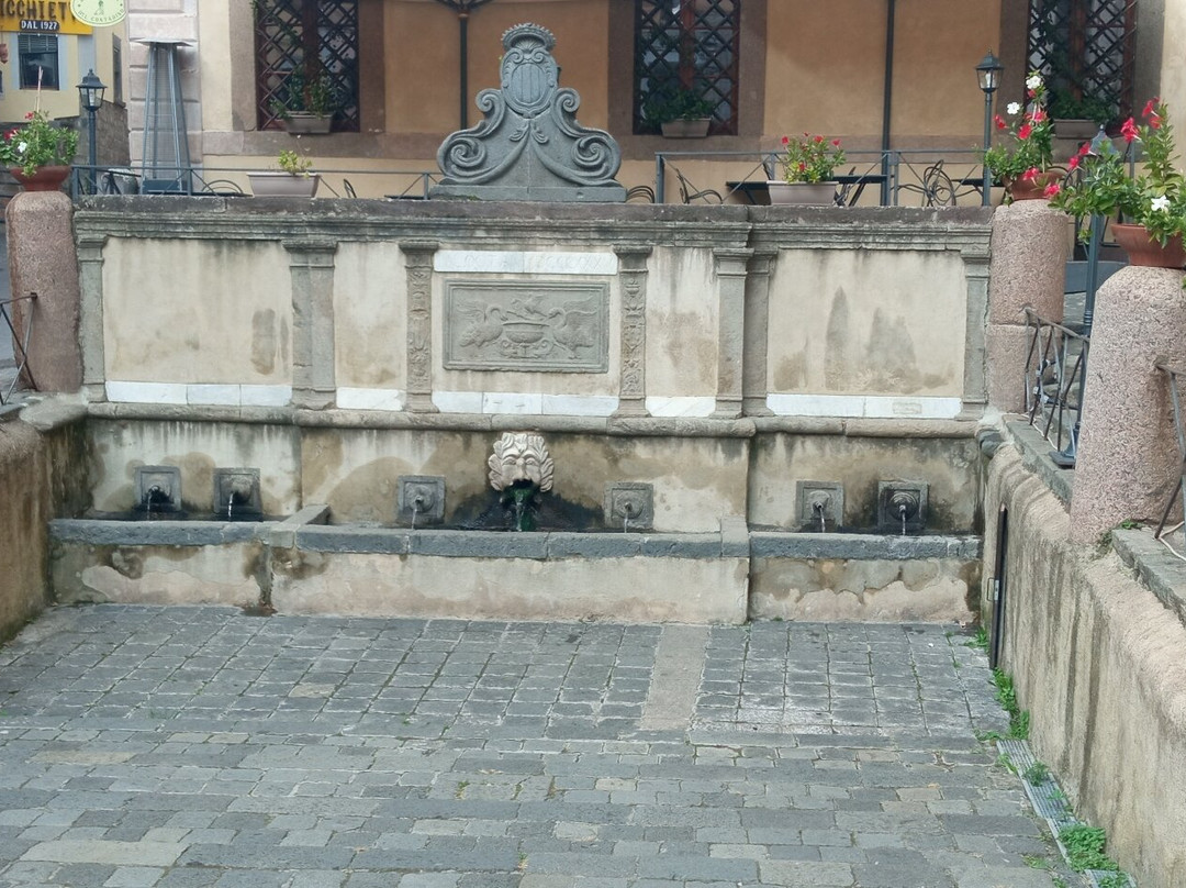Fontana di San Rocco景点图片