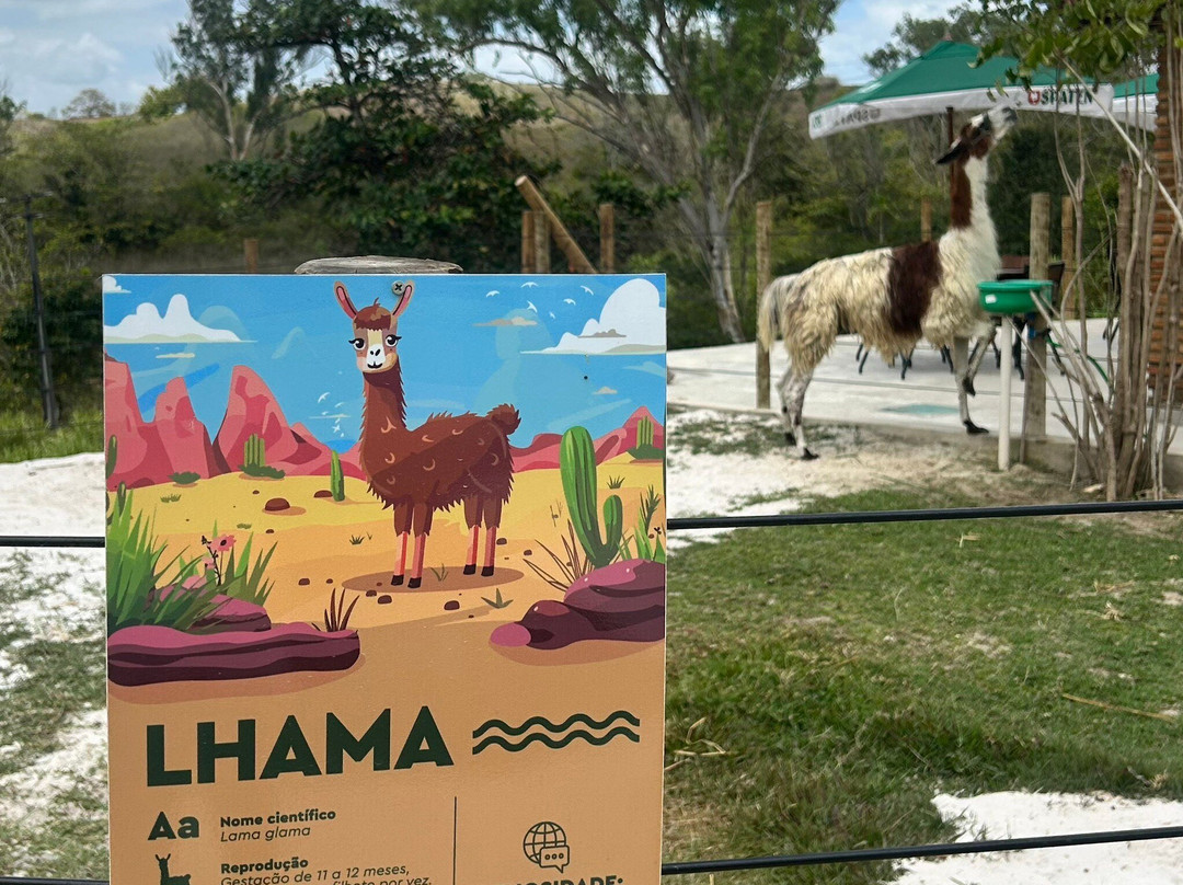 Boaluz Park-Laranjeiras必去景点